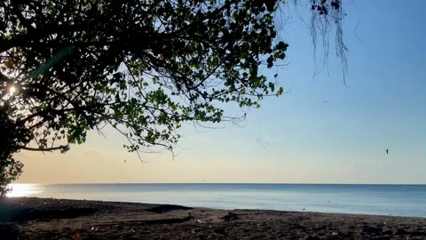 Horizontal Static Shot of Beach Coast with Tree Canopy in Bali Stock Footage 340411382