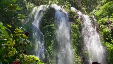 Horizontal Static Shot of Beautiful Tropical Waterfall with Flowers in Bali Stock Footage 339450630