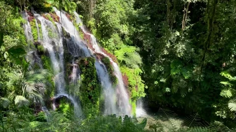 Horizontal Static Shot of Magnificent Tropical Waterfall in Bali Jungle Stock Footage 339449990