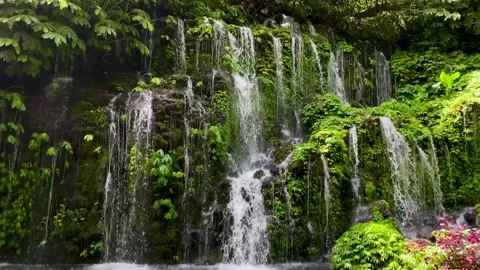 Horizontal Static Wide Shot of Beautiful Lush Curtain Waterfall in Bali Stock Footage 339449073
