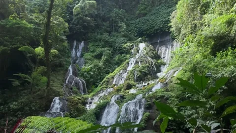 Horizontal Static Wide Shot of Cascade Waterfall in Bali Jungle Stock Footage 340562411