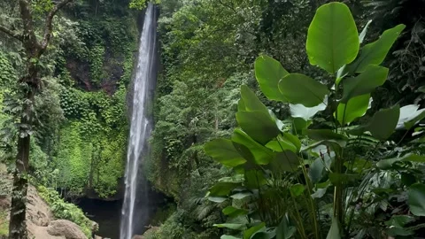 Horizontal Static Wide Shot of Tall Waterfall in Bali Stock Footage 340562518
