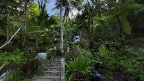 Horizontal Static Wide Shot of Tropical Bali Waterfall and Stone Stairs Stock Footage 339249996