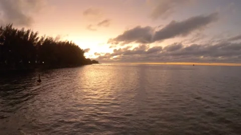 Horizontal still view of ocean coastline bay sandy rocky beach with coconut tree Stock Footage 235322396
