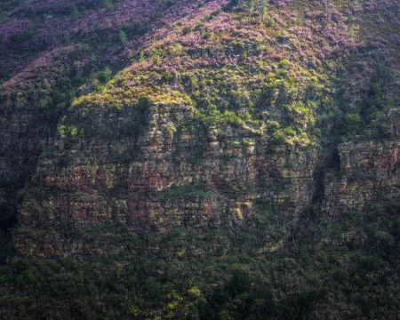 Horizontal strata of quartzite rock on Devonian foldings Stock Photos