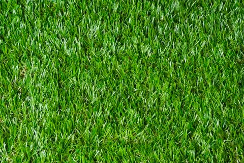 Horizontal synthetic grass Stock Photos