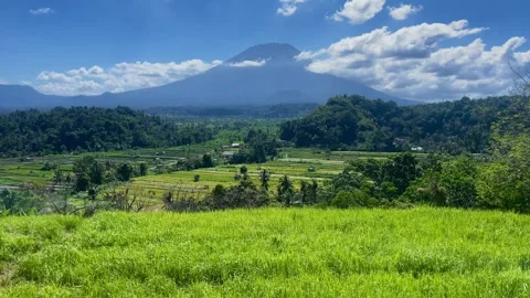 Horizontal Tilt Up Shot Revealing Mount Agung Behind Green Field Video stock 341552078