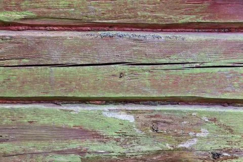 Horizontal timber wall with green mold Stock Photos