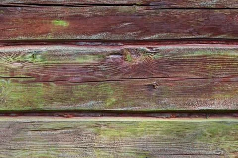 Horizontal timber wall with green mold Stock Photos