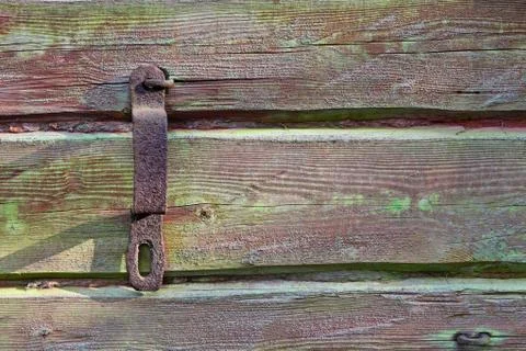 Horizontal timber wall with green mold Stock Photos