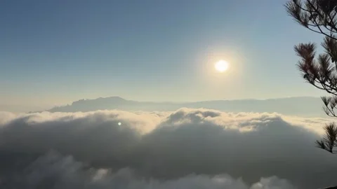 Horizontal Timelapse of Sunrise over Rolling Sea of Clouds with Pine Tree Si Stock Footage 326083204