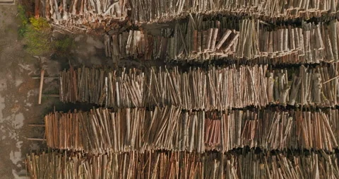 Horizontal Top Down Drone Over Minimalist Rows of Stacked Logs Stock Footage 346411443
