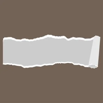 Horizontal Torn Paper Banner with Rolled Edge Vectors Illustration Stock Illustration