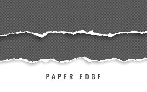 Horizontal torn paper edge. Ripped squared horizontal white paper strips. Vec Stock Illustration