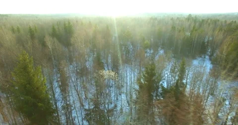 Horizontal tracking video shot of scenic landscape in rising sun rays. Stock Footage 102094474