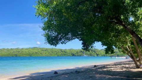 Horizontal Tropical Beach Framed by Green Trees Bali Stock Footage 335916148