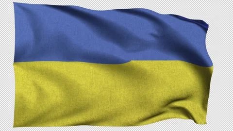 Horizontal  Ukraine Flag Stock Footage 340385586