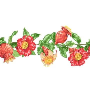 Horizontal vector seamless decorative line with pomegranate flowers and fruit Stock Illustration