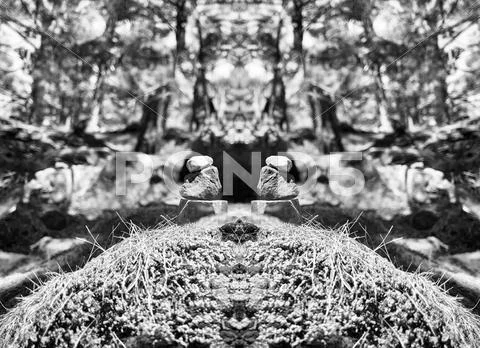 Horizontal vibrant vivid black and white stones spiritual balanc Stock Photos