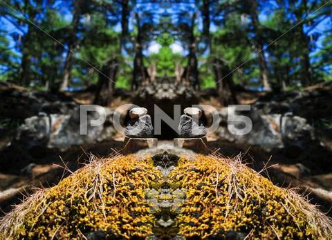Horizontal vibrant vivid stones spiritual balance bokeh backgrou Stock Photos