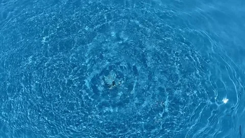 Horizontal video of dancing bubbles in swimming pool. Stock Footage 282766141