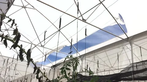 Horizontal video of a greenhouse with the plastic broken by strong winds Stock Footage 214615668
