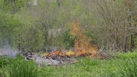 Horizontal video of a vegetation fire in a garden with blurred houses. Stock Footage 334181144