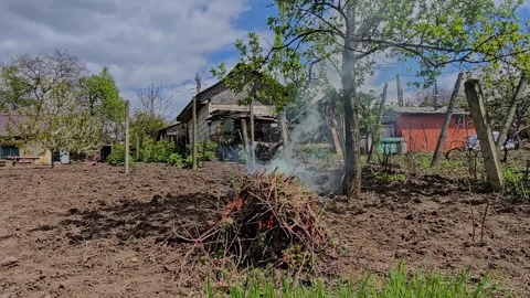 Horizontal video of a vegetation fire in a rural garden. Stock-Footage 334181266