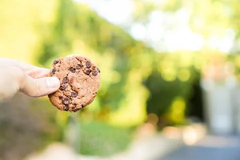 Horizontal view and selective focus of delicious cookie held by kid in the garde Stockfoto's