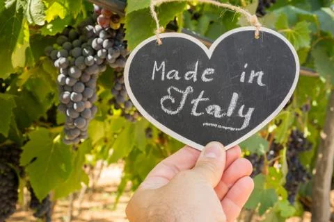 Horizontal View of Close Up of Hand Keeping Blackboard with the sentence Made Stock Photos