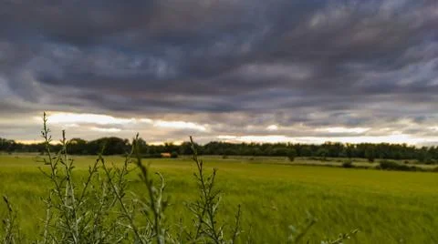 A horizontal view of dramatic puffy clouds over green fields and  forests - a Foto stock