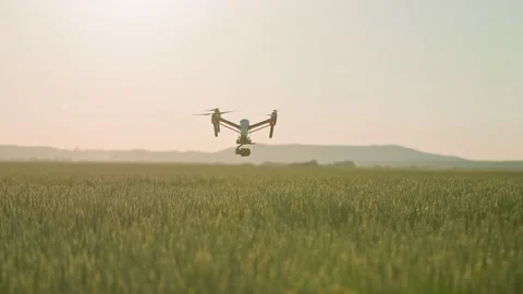 Horizontal view of drone with digital video camera flying above green field Video stock 202984282