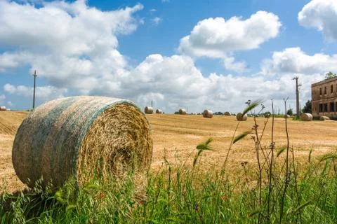 Horizontal View of a Grain Field with some Bales of Hay on Partially Cloudy B 库存照片