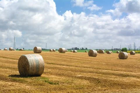 Horizontal View of a Grain Field with some Bales of Hay on Partially Cloudy B Stock Photos