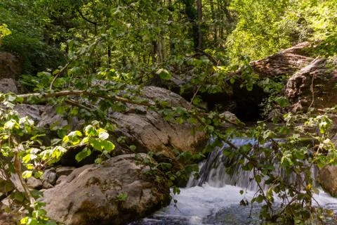 Horizontal view of a little cascade in a forest in summer Stock Photos