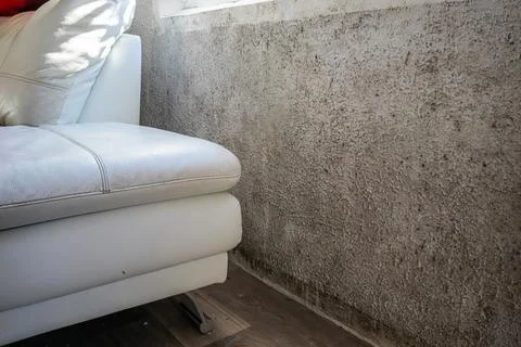 Horizontal View of Mold on Wall Under Window Near Sofa Stock Photos