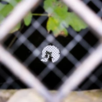 Horizontal View of the Reflection of the Light in the Water in a Pit Behind a Stockfoto's