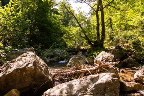 Horizontal View of a River in a forest in a hot summer day at noon 스톡 사진