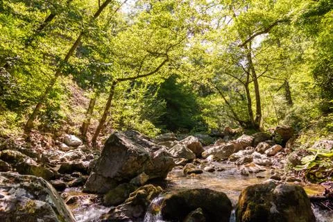 Horizontal View of a River in a forest in a hot summer day at noon Фото