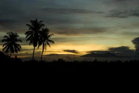 Horizontal view of silhouettes of coconut trees and mountains in nature Stock Photos