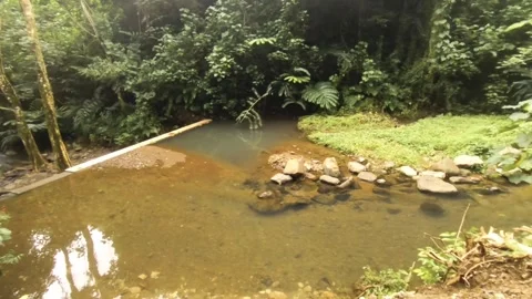 Horizontal view of small shallow water dam artificial formation of pond in natur Stock Footage 245441940