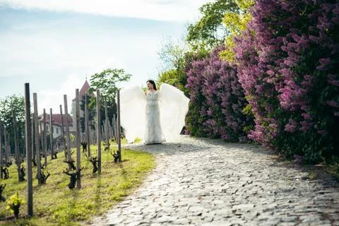 The horizontal view of the stylishly dressed bride playing with the wedding Stock Photos