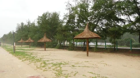 Horizontal view of temporary umbrellas at beach Vidéo 191439714