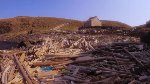 Horizontal view of tons of drift bleach wood junk yard at the ocean coast wash o Stock Footage 242327179
