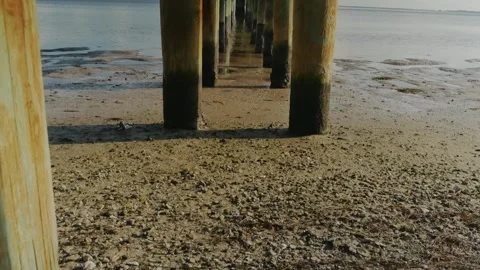 Horizontal  view under wood pier at Bay Vista Park in St. Petersburg, FL,  Sand, Stock Footage 284728654
