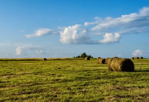 Horizontal vivid hay stack on the field Foto stock