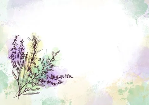 Horizontal wedding background with lavender in rustic eco style. イラスト素材