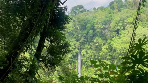 Horizontal Wide Static Shot of Distant Waterfall in Bali Jungle Stock Footage 340562319