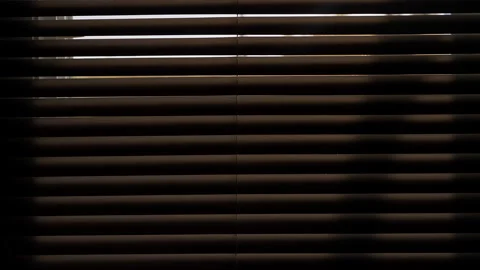 Horizontal Window Blinds Slowly Opening to Reveal the Outdoor View and Natural D Stock Footage 339209746
