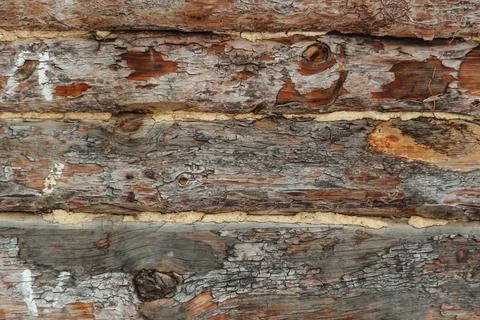 Horizontal wood texture bars Photos